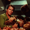 Kirk in Tribbles